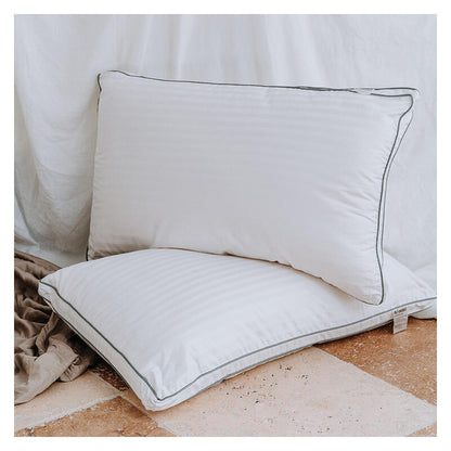 Sleepwise Pillow - Standard