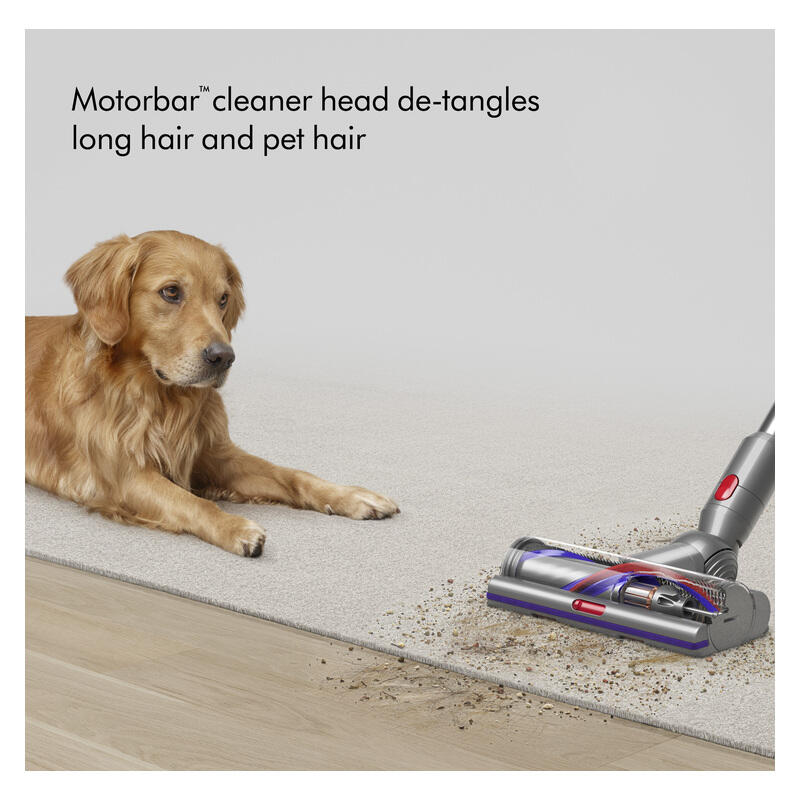 Dyson V15 Detect Absolute Stick Vacuum (2026)